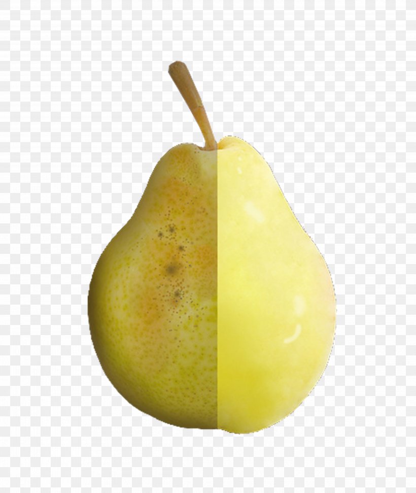 Pear Download Icon, PNG, 5000x5926px, Pear, Apple, Food, Fruit, Google Images Download Free