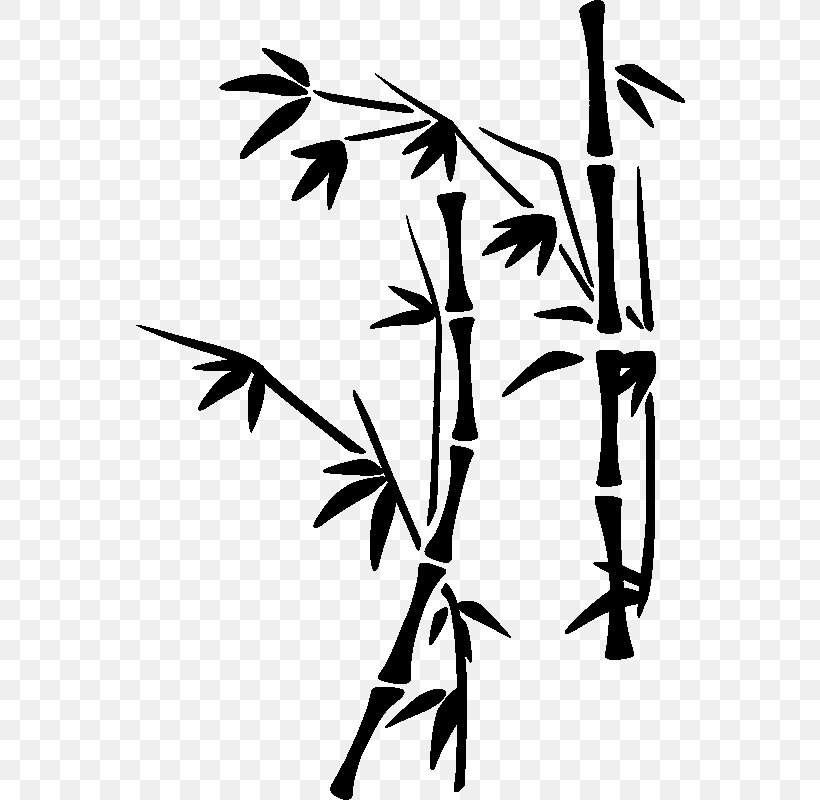 Sticker Wall Decal Tropical Woody Bamboos, PNG, 800x800px, Sticker, Artwork, Bamboo, Black And White, Branch Download Free