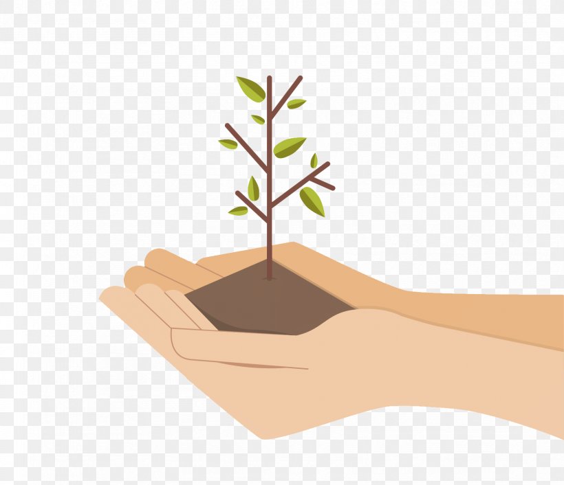 Tree Plant, PNG, 1663x1433px, Tree, Branch, Digital Image, Drawing, Finger Download Free