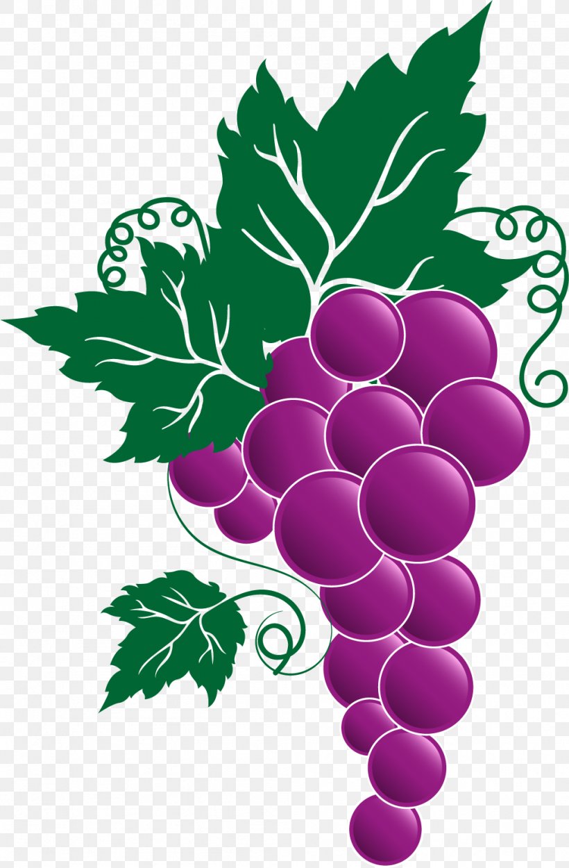 Wine Beer Italian Cuisine Theatre Drive Self Storage Grape, PNG, 1002x1528px, Wine, Beer, Drink, Flowering Plant, Food Download Free