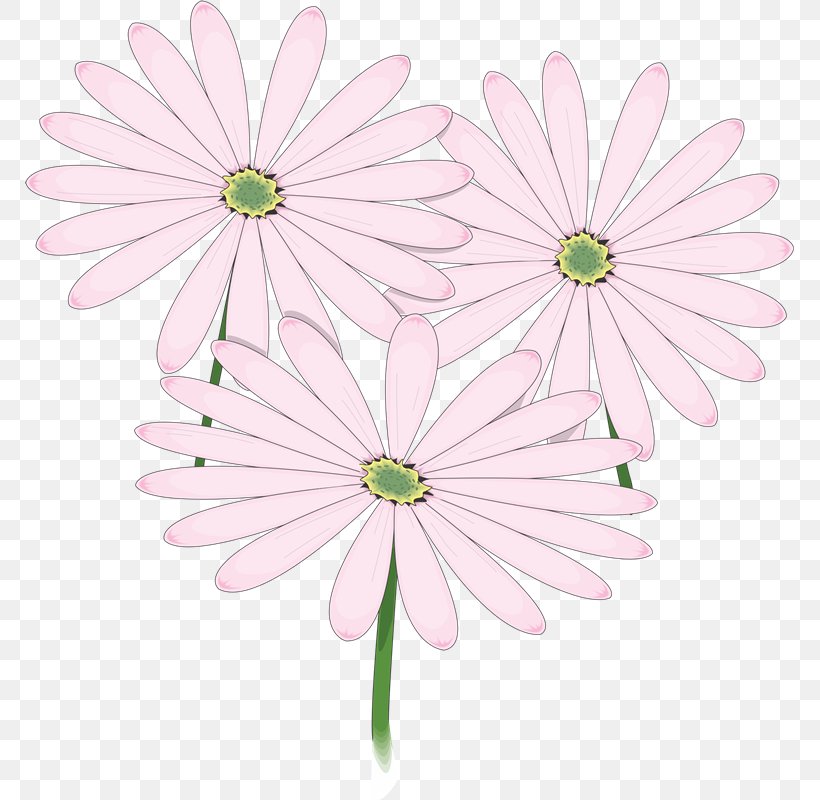 Common Daisy Floral Design Chrysanthemum Flower Oxeye Daisy, PNG, 769x800px, Common Daisy, Centimeter, Chrysanthemum, Chrysanths, Cut Flowers Download Free