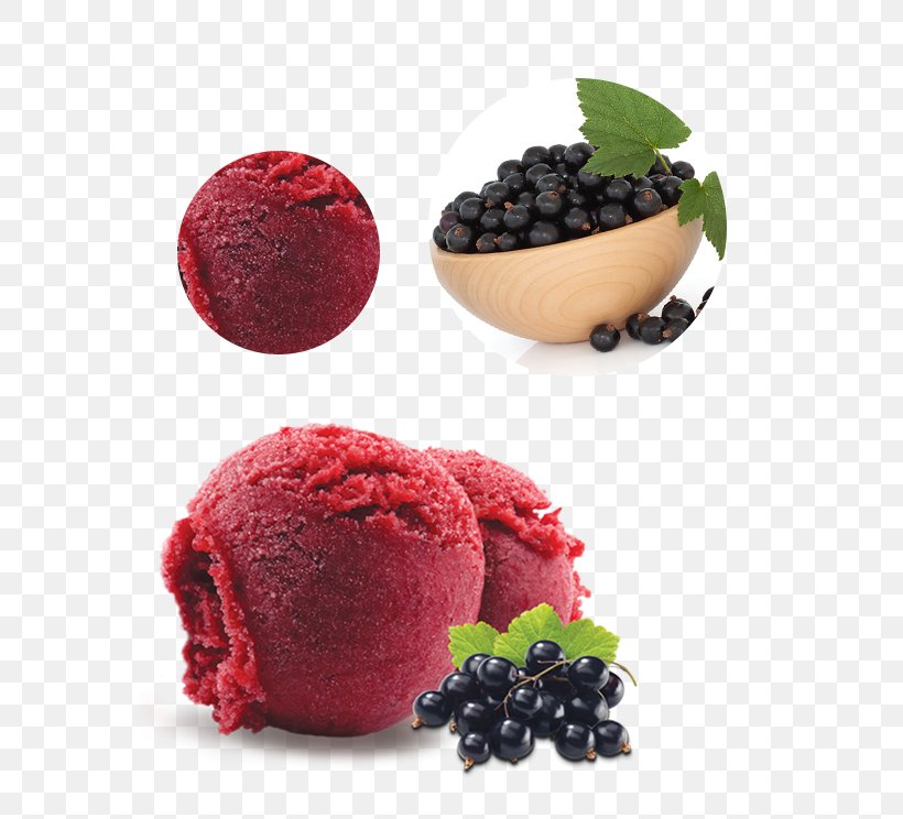 Ice Cream Blackcurrant Sorbet Gelato Fruit, PNG, 583x744px, Ice Cream, Auglis, Berry, Blackberry, Blackcurrant Download Free