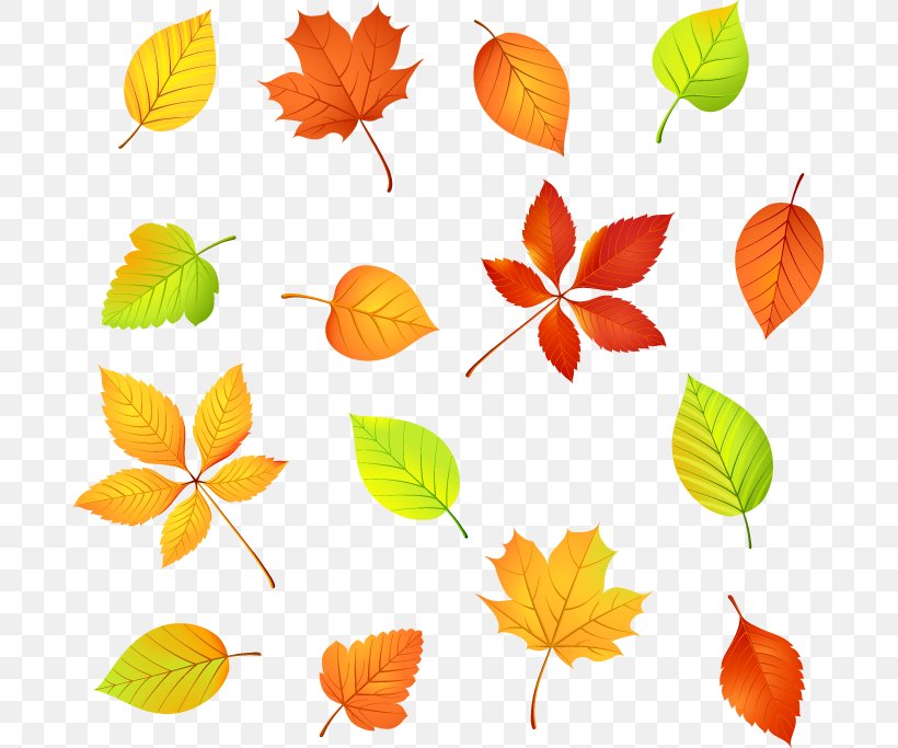 Vector Graphics Clip Art Illustration Image, PNG, 687x683px, Royaltyfree, Autumn, Branch, Drawing, Flower Download Free
