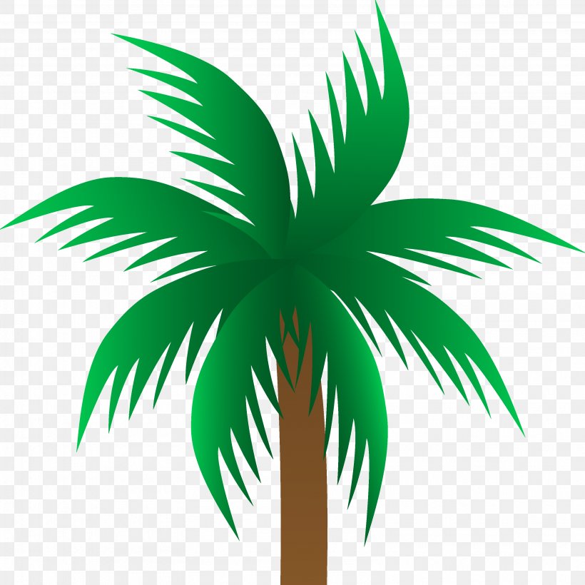 Arecaceae Drawing Clip Art, PNG, 3169x3169px, Arecaceae, Arecales, California Palm, Drawing, Fan Palms Download Free