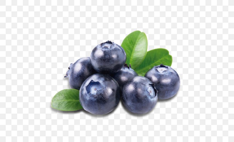 Blueberry Bash Bilberry Fruit Juice, PNG, 500x500px, Blueberry, Berry, Bilberry, Blackberry, Blueberry Tea Download Free