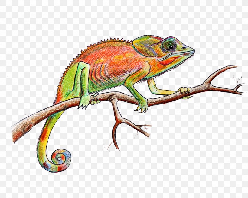 Chameleons Iguanas Illustration Graphics Fauna, PNG, 1500x1200px, Chameleons, Animal, Chameleon, Fauna, Iguanas Download Free