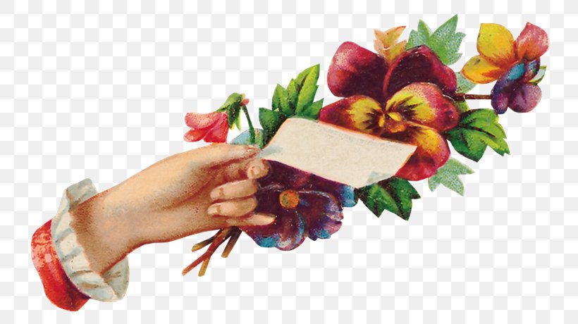 Cut Flowers Floral Design Clip Art Paper, PNG, 780x460px, Flower, Ansichtkaart, Arm, Blume, Cut Flowers Download Free