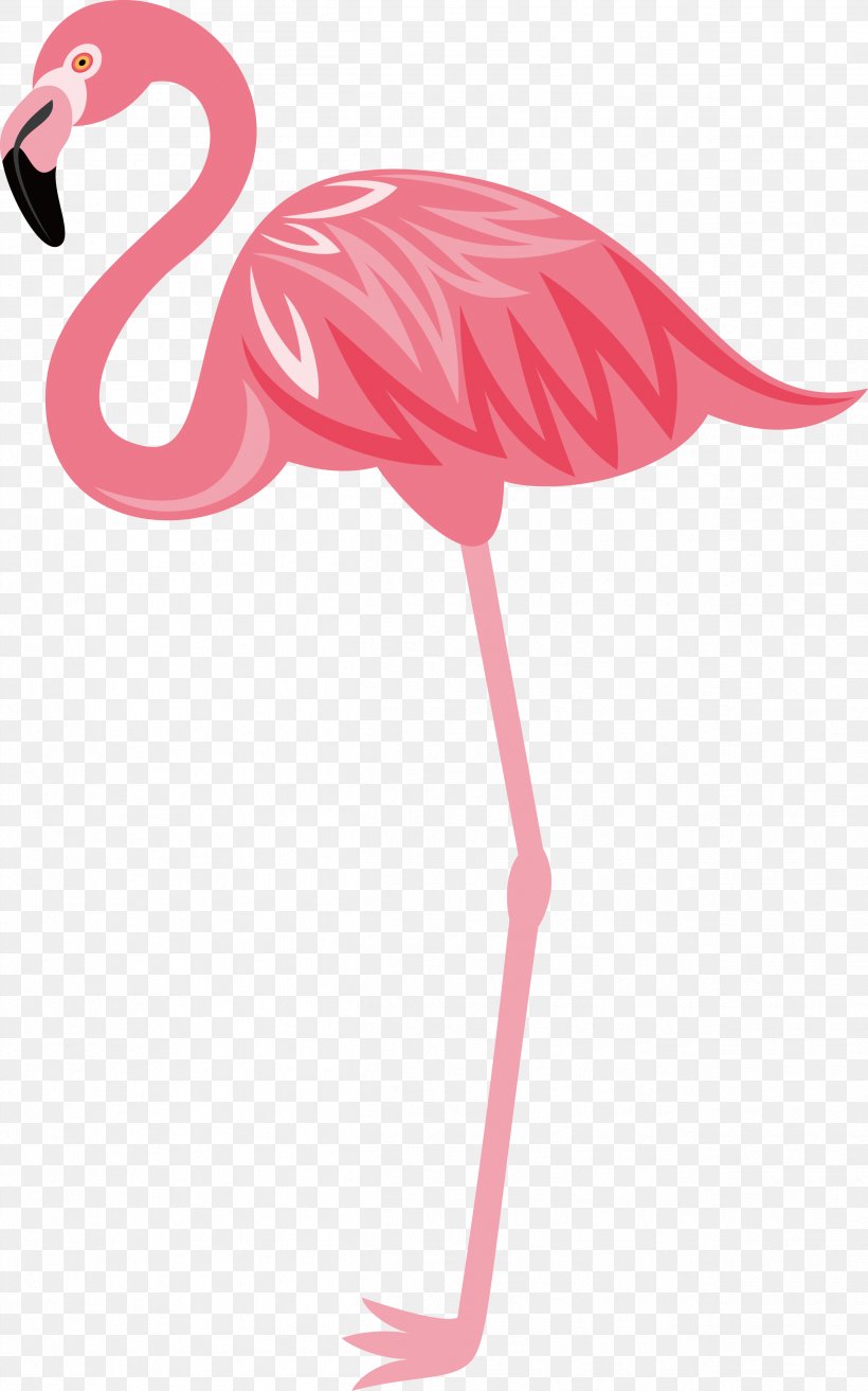 Flamingos Bird Euclidean Vector, PNG, 2497x4001px, Flamingos, Animal, Beak, Bird, Crane Like Bird Download Free