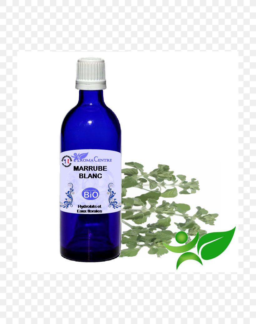 Herbal Distillate Anise Essential Oil Aromatherapy Cinnamomum Verum, PNG, 800x1040px, Herbal Distillate, Angelica Archangelica, Anise, Aromatherapy, Benzoin Download Free