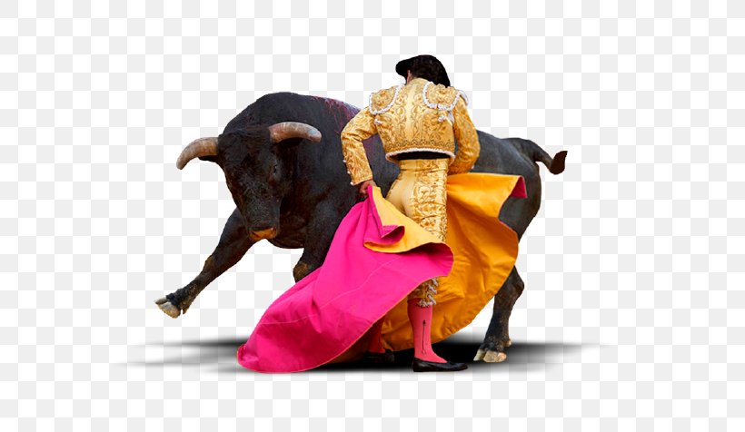 Bullring Spanish-style Bullfighting La Tauromachie, PNG, 632x476px, Bullring, Albero, Bull, Bullfighter, Bullfighting Download Free