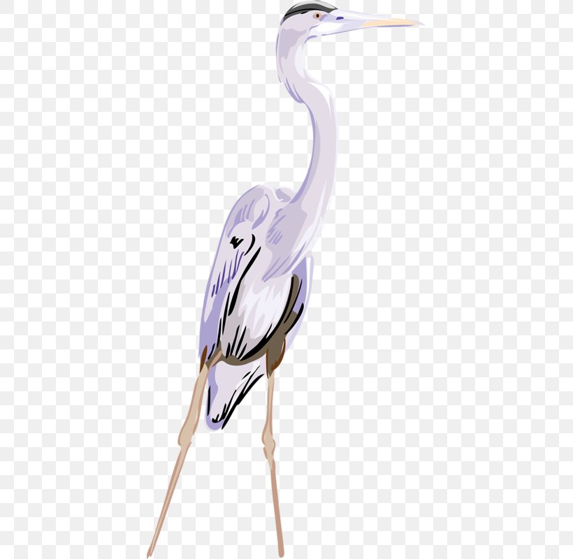 Crane Great Egret Clip Art, PNG, 399x800px, Crane, Ardea, Beak, Bird, Ciconiiformes Download Free