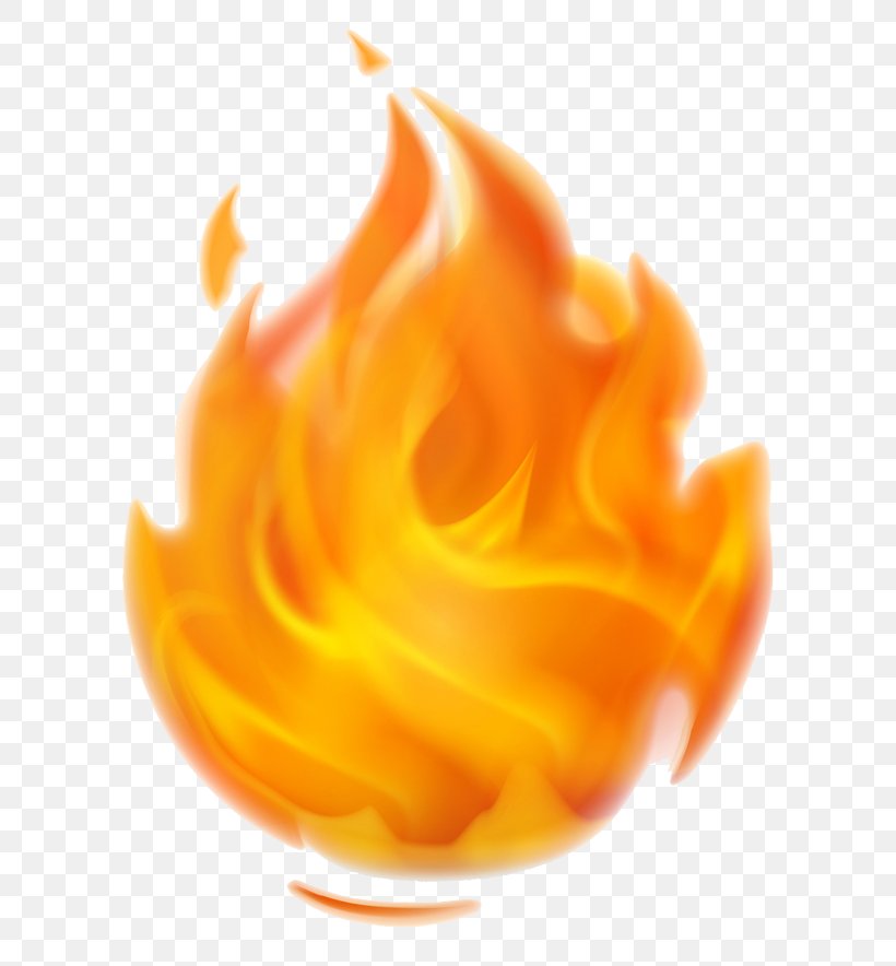 Fire Flame Clip Art, PNG, 640x884px, Fire, Combustion, Flame, Logo, Orange Download Free