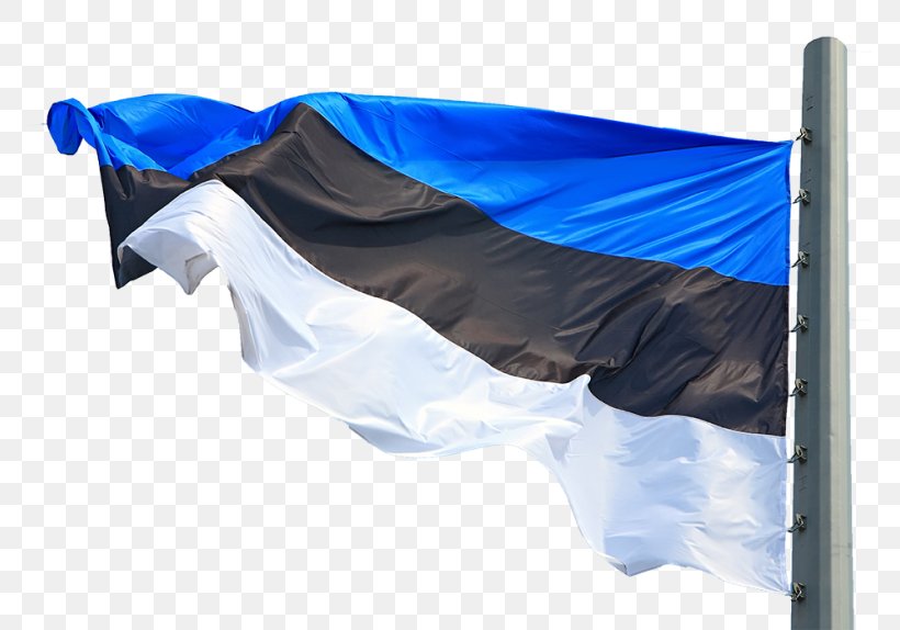 Flag Of Estonia National Flag, PNG, 768x574px, Estonia, Blue, Company, Country, Estonian Language Download Free