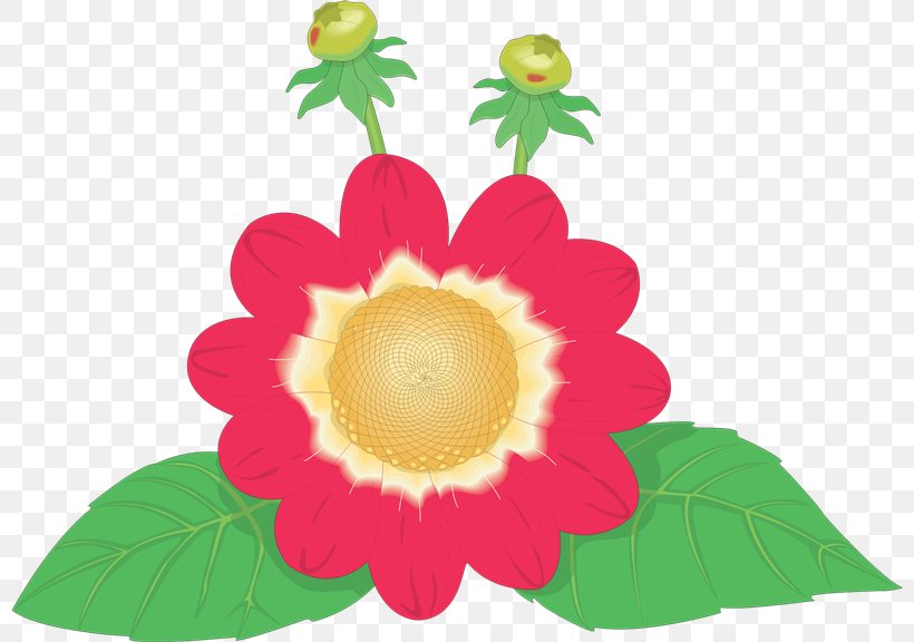 Flowering Plant Magenta Fruit Clip Art, PNG, 800x576px, Flowering Plant, Flower, Food, Fruit, Magenta Download Free