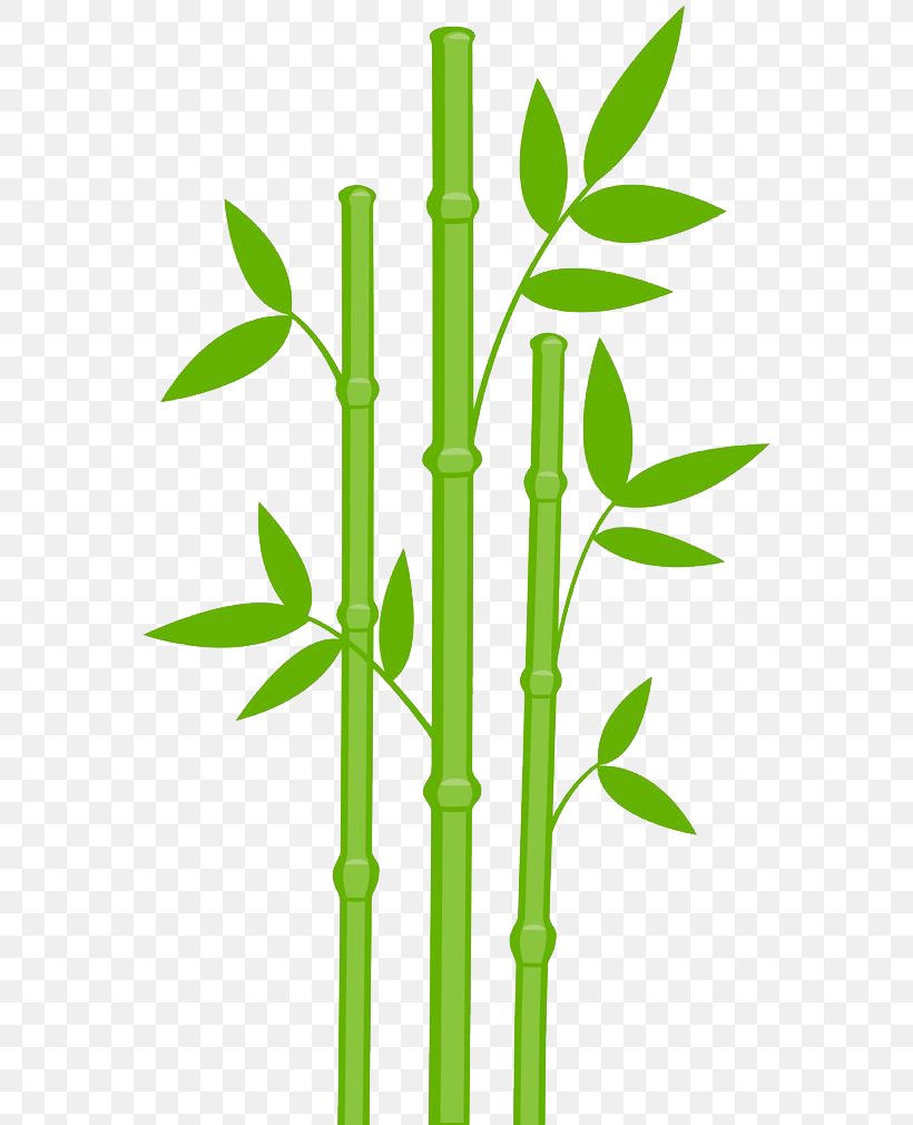 Giant Panda Bamboo Clip Art, PNG, 564x1010px, Giant Panda, Art, Bamboo, Color, Free Content Download Free