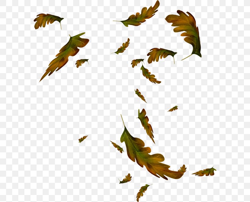 Leaf Animation Drawing Autumn Clip Art, PNG, 600x663px, Leaf, Animation, Autumn, Beak, Bird Download Free