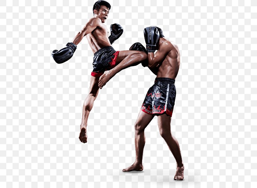 Muay Thai Kickboxing Martial Arts Brazilian Jiu-jitsu, PNG, 600x600px, Muay Thai, Aggression, Boxing, Boxing Equipment, Boxing Glove Download Free