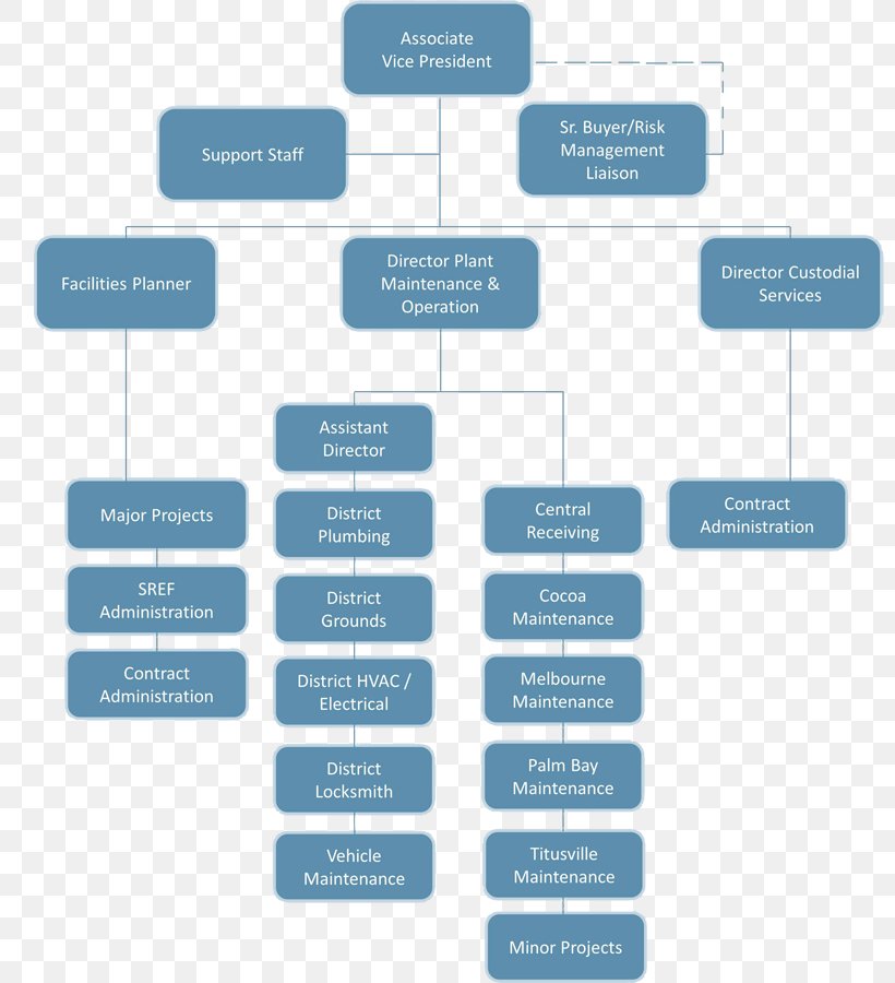 Organizational Chart Diagram Organizational Structure, PNG, 800x900px ...