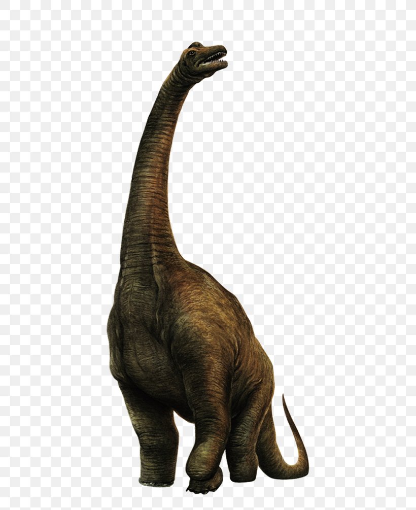 Sinosauropteryx Velociraptor Dinosaur, PNG, 775x1005px, Sinosauropteryx, African Elephant, Animal, Dinosaur, Elephants And Mammoths Download Free
