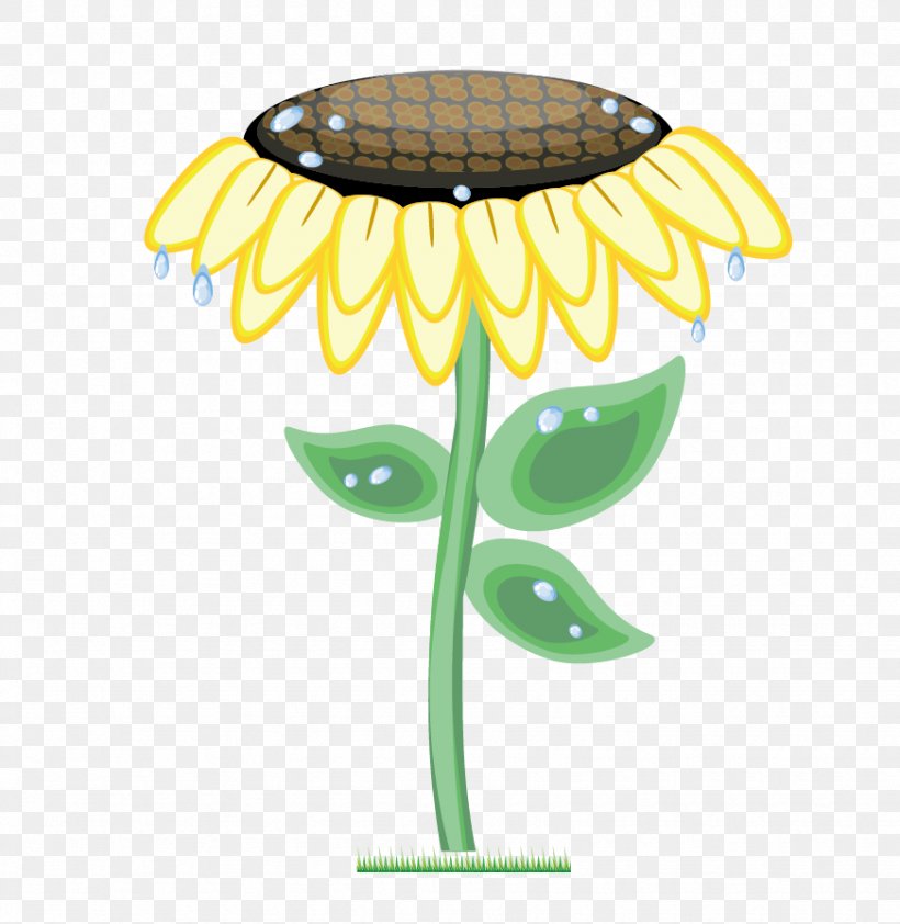 Common Sunflower Euclidean Vector, PNG, 872x896px, Common Sunflower, Flower, Flowering Plant, Illustrator, Painting Download Free