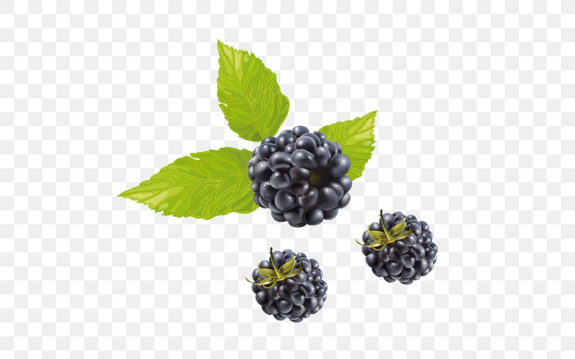 Blueberry Tea Raspberry Boysenberry Vector Graphics, PNG, 512x512px, Blueberry Tea, Berries, Berry, Bilberry, Blackberry Download Free