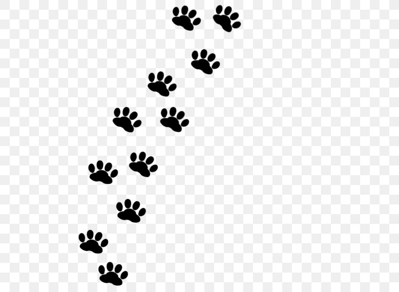 Footprint Paw Siamese Cat Scottish Fold Cymric Cat, PNG, 600x600px, Footprint, American Shorthair, Black, Black And White, Black Cat Download Free