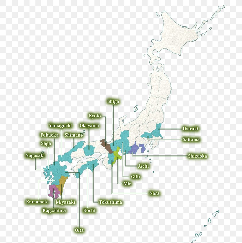 Green Tea Japanese Cuisine Matcha History Of Tea In Japan, PNG, 709x822px, Tea, Area, Border, Camellia Sinensis, Diagram Download Free