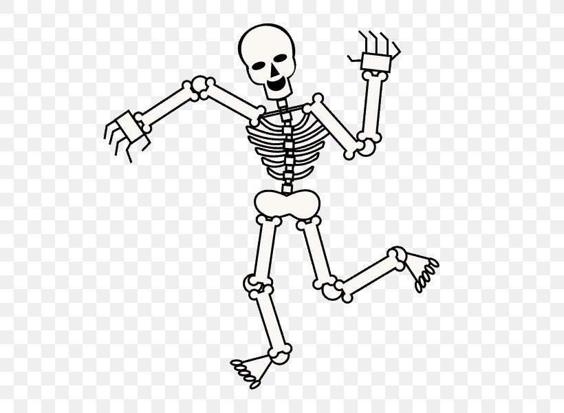 Human Skeleton Drawing Cartoon Skull, PNG, 678x600px, Skeleton, Anatomy, Area, Arm, Art Download Free