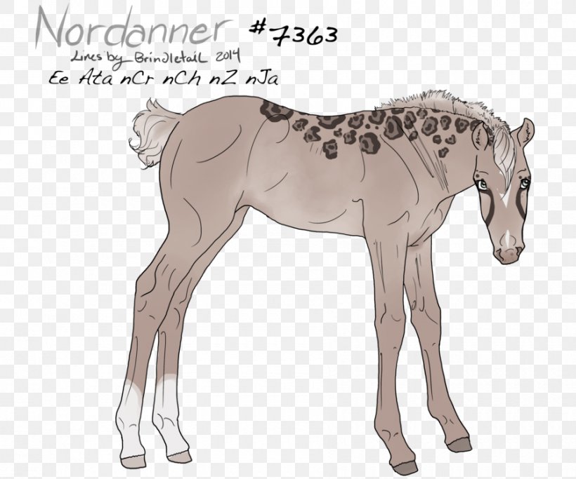 Mule Foal Stallion Colt Mare, PNG, 900x750px, Mule, Animal Figure, Bridle, Cartoon, Colt Download Free