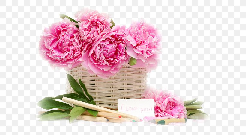 Rose Flower Desktop Wallpaper Image GIF, PNG, 600x450px, Rose, Blossom, Carnation, Cut Flowers, Evening Download Free
