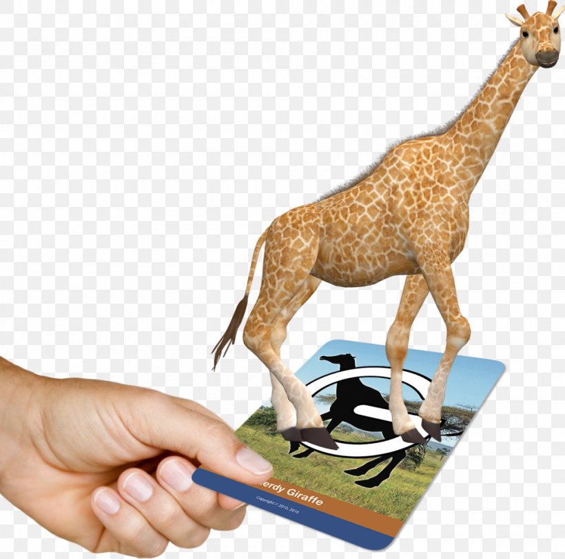 Education Giraffe Learning School Augmented Reality, PNG, 1000x989px, Education, Animal Figure, Augmented Reality, Classroom, Fauna Download Free