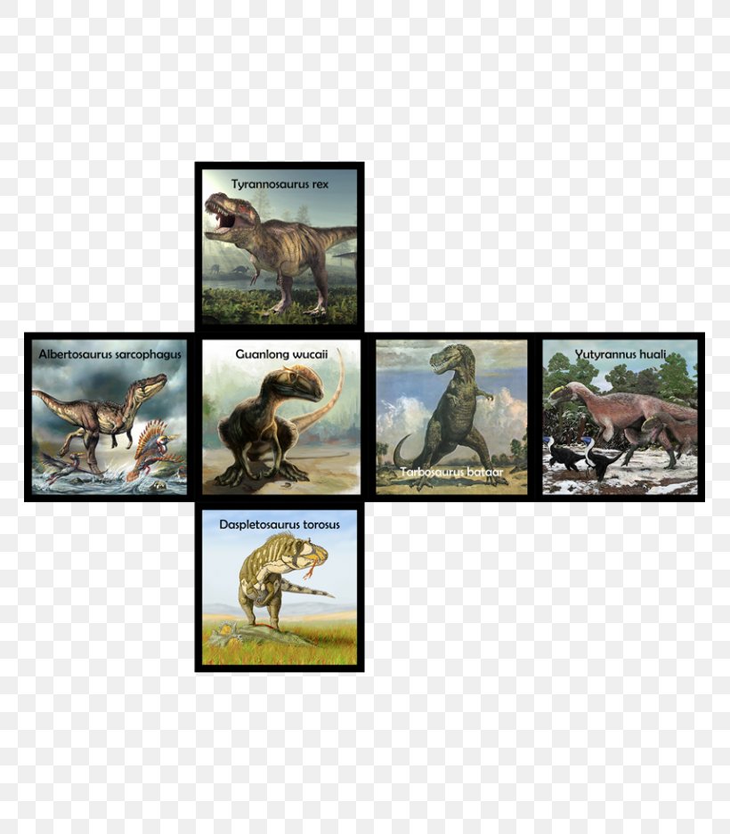Mammal Dinosaur Ecosystem Fauna Wildlife, PNG, 765x937px, Mammal, Cube, Cube 2 Hypercube, Dinosaur, Ecosystem Download Free