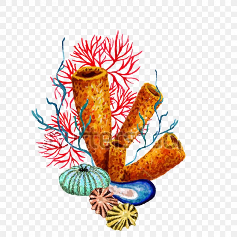 Sea Urchin Invertebrate Watercolor Painting, PNG, 900x900px, Sea Urchin, Coral, Drawing, Invertebrate, Organism Download Free