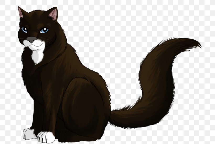 Whiskers Cat Fur Character Puma, PNG, 800x552px, Whiskers, Black Cat, Carnivoran, Cat, Cat Like Mammal Download Free