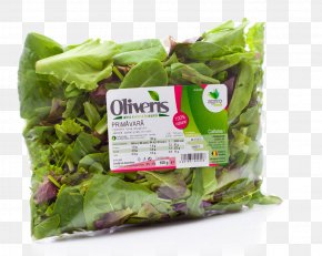 Salad - Romaine Lettuce Salad Spinach Endive Basil PNG