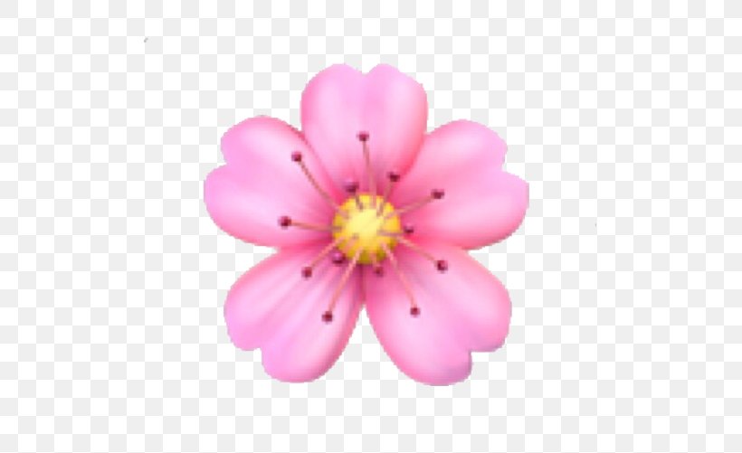 Emoji Domain Flower, PNG, 501x501px, Emoji, Blossom, Cherry Blossom, Emoji Domain, Emojipedia Download Free