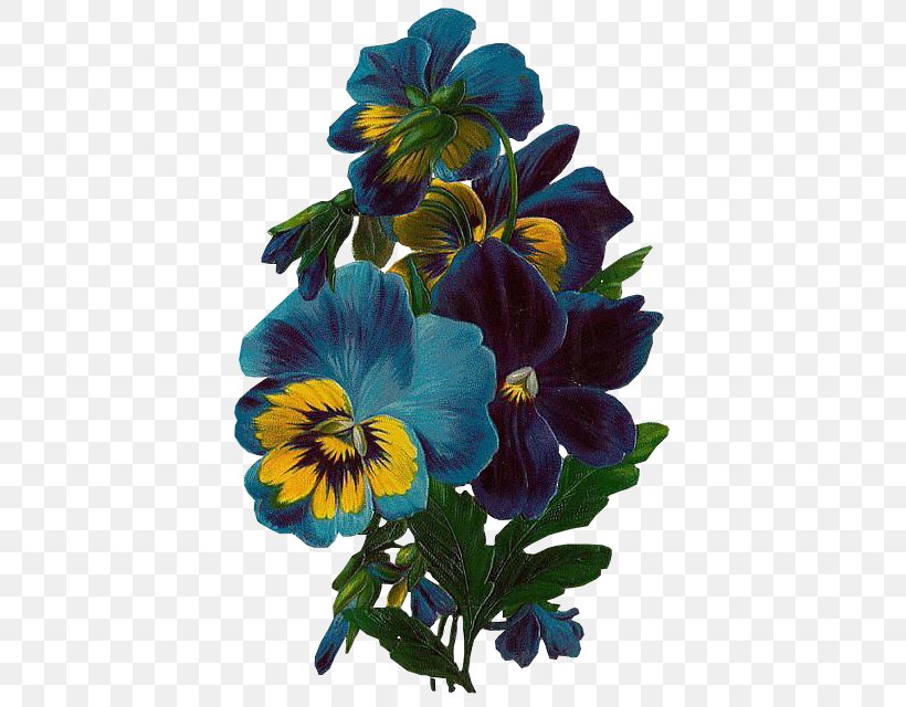 Flower Floral Design Clip Art, PNG, 426x640px, Flower, Annual Plant, Art, Botanical Illustration, Cut Flowers Download Free