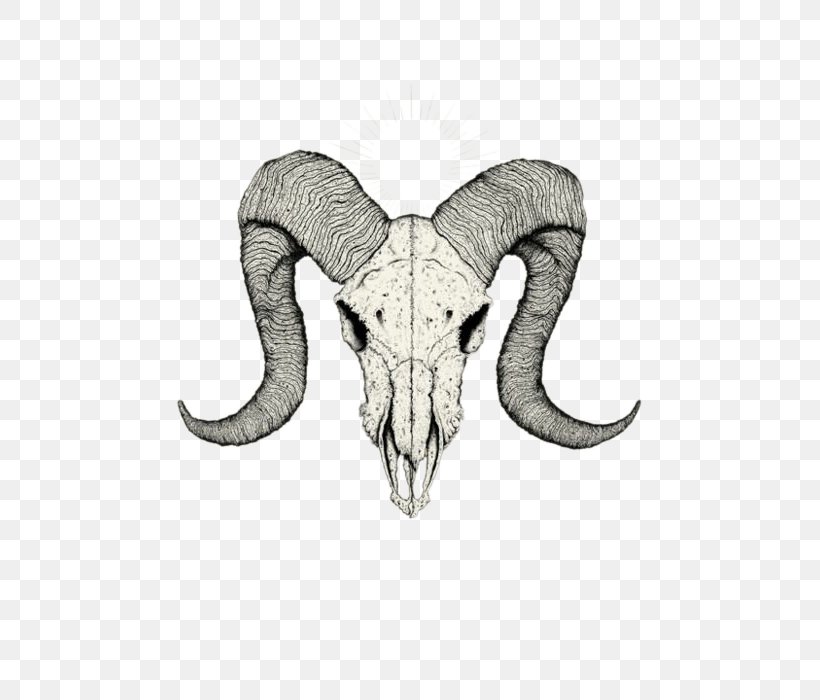 Skull Tattoo Drawing Sketch, PNG, 493x700px, Skull, African Elephant, Aries, Bone, Drawing Download Free