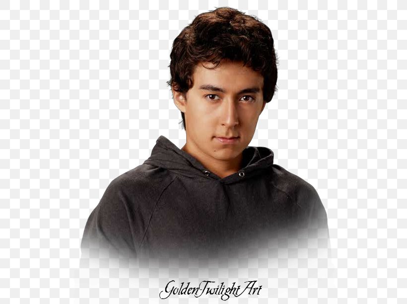 Tyson Houseman The Twilight Saga: Eclipse Quil Ateara Sam Uley, PNG, 542x612px, Tyson Houseman, Art, Chin, Claire, Forehead Download Free