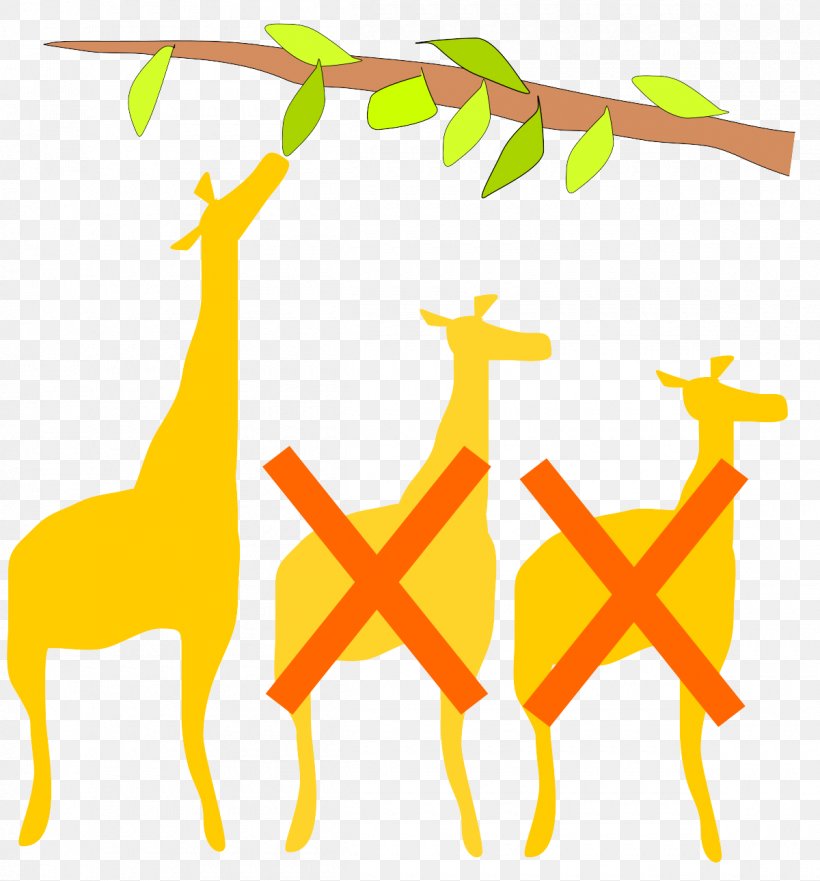 Giraffe Giraffidae Yellow Line Wildlife, PNG, 1200x1290px, Giraffe, Animal Figure, Giraffidae, Wildlife, Yellow Download Free