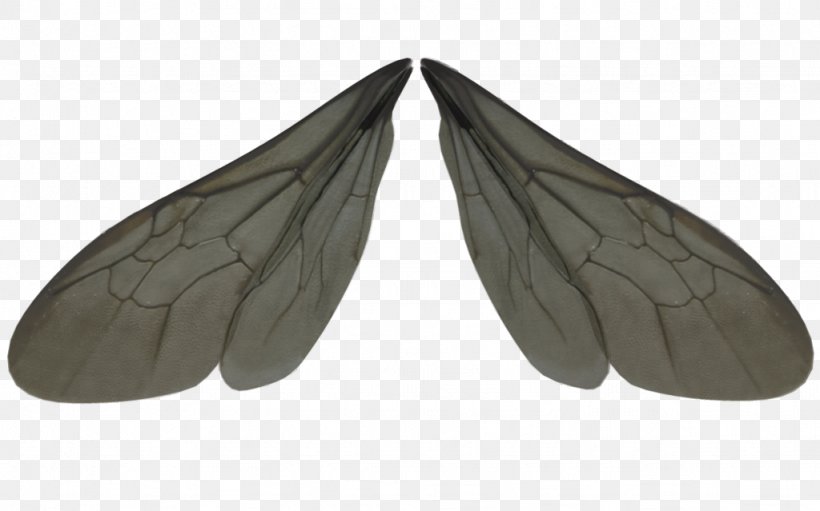 Insect Wing Dragonfly Clip Art, PNG, 1024x639px, Insect Wing, Animal, Bed Bug, Cricket, Dragonfly Download Free