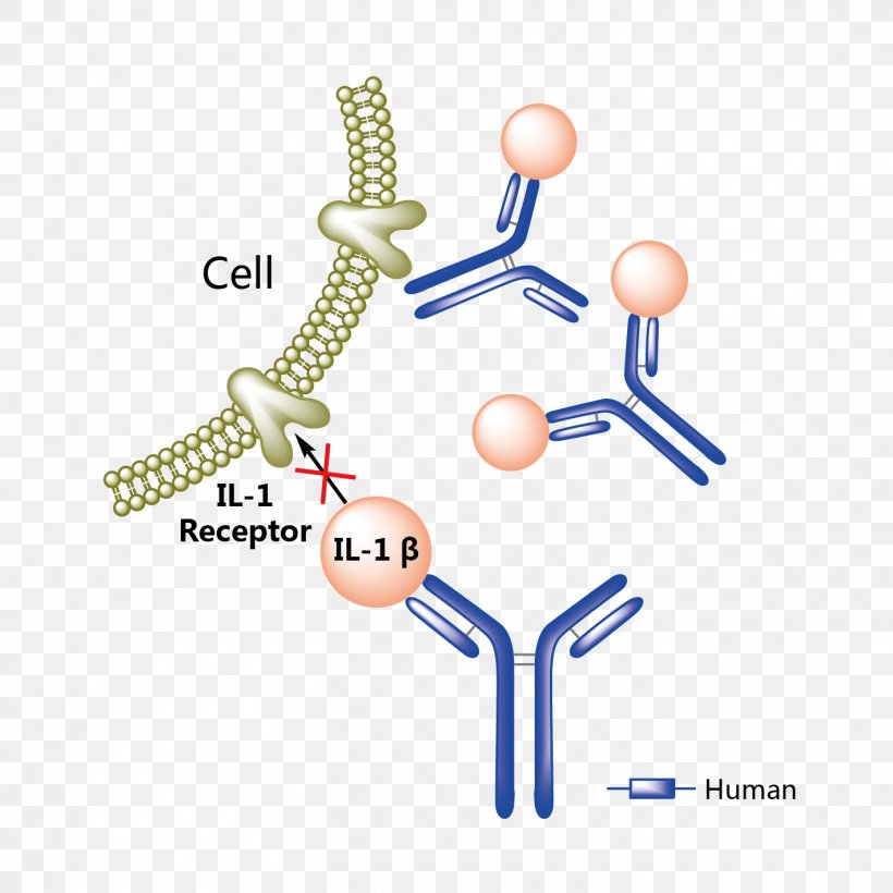 Canakinumab Ixekizumab Food And Drug Administration Bevacizumab Mechanism Of Action, PNG, 1418x1418px, Ixekizumab, Anakinra, Bevacizumab, Biologic, Body Jewelry Download Free