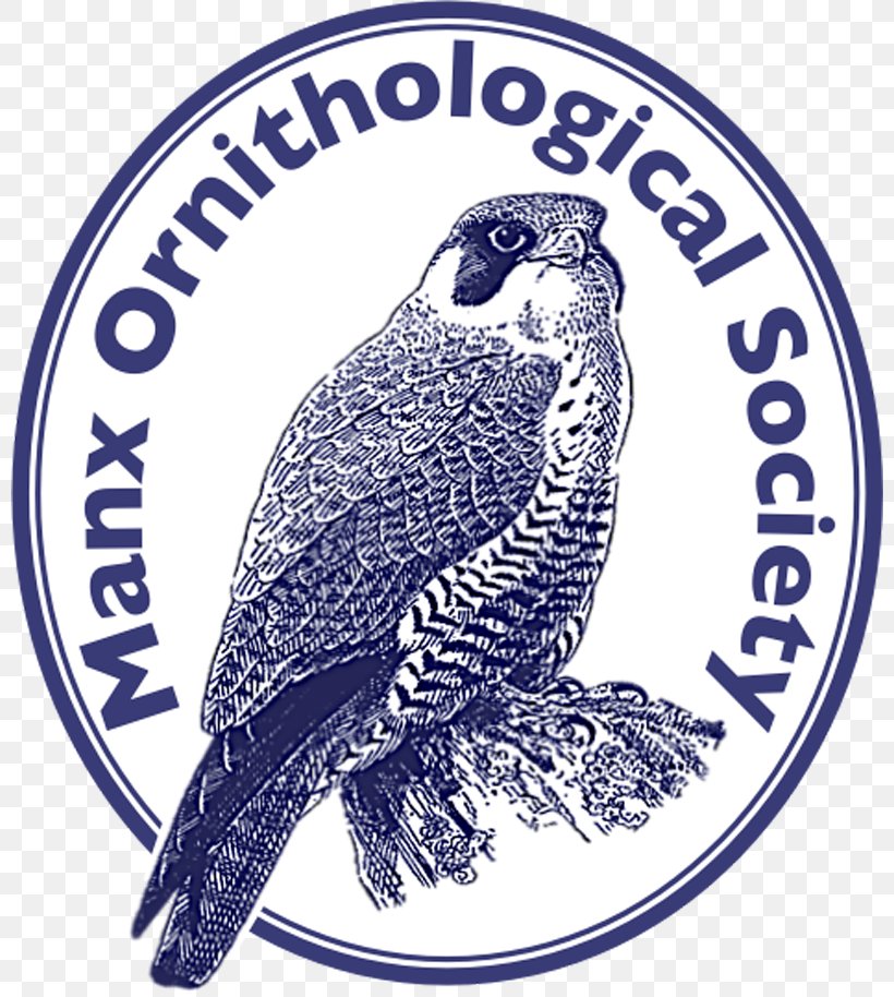 Cincinnati College Of Mortuary Science Education Student School, PNG, 800x914px, Mortuary Science, Academic Degree, Alumnus, Beak, Bird Download Free