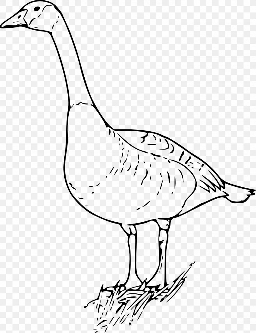 Goose Ausmalbild Coloring Book Duck Drawing, PNG, 1473x1920px, Goose, Adaptation, Art, Ausmalbild, Beak Download Free