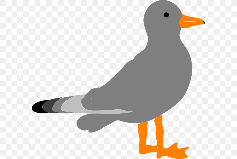 Gulls Clip Art, PNG, 600x552px, Gulls, Beak, Bird, Cartoon, Charadriiformes Download Free