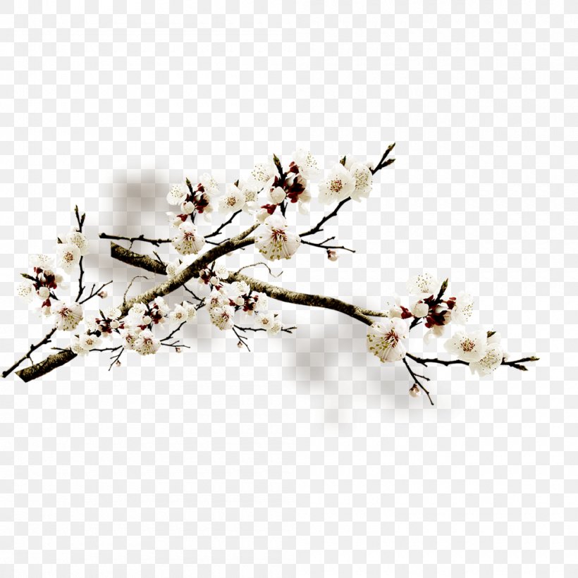 Plum Blossom Flower Petal, PNG, 1000x1000px, Plum Blossom, Bird, Blossom, Branch, Cherry Download Free