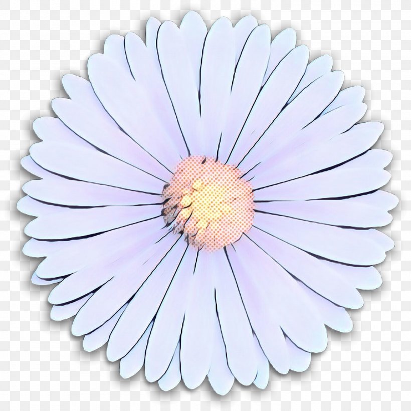 Transvaal Daisy Cut Flowers Purple Petal, PNG, 1500x1500px, Transvaal Daisy, Aster, Barberton Daisy, Camomile, Cut Flowers Download Free