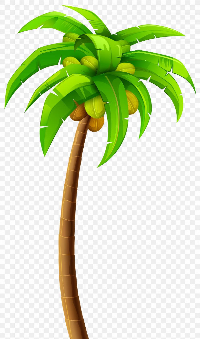 Tree Arecaceae Clip Art, PNG, 4730x8000px, Tree, Animation, Arecaceae, Arecales, Banana Download Free