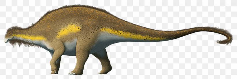 Velociraptor Background, PNG, 1000x335px, Tyrannosaurus Rex, Animal, Animal Figure, Brachytrachelopan, Coelurosauria Download Free