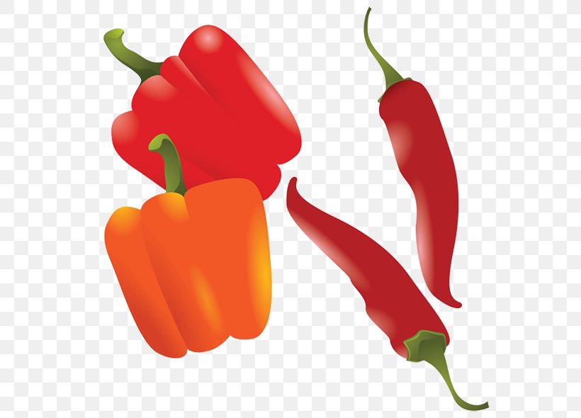 Chili Pepper Drawing Bell Pepper, PNG, 600x590px, Pepper, Animation, Bell Pepper, Bell Peppers And Chili Peppers, Bird S Eye Chili Download Free
